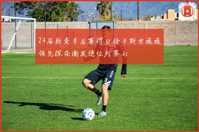24届新秀季后赛得分榜卡斯尔遥遥领先探花谢泼德位列第七